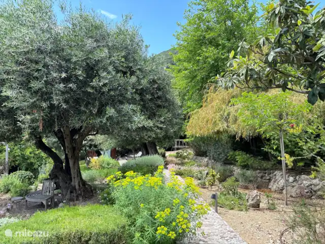Spiti Espède | Grèce, Corfou, Agios Markos - maison de vacances Jardin