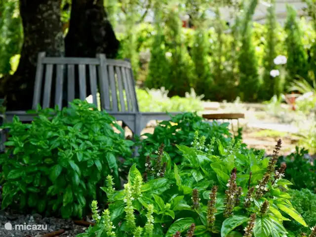 Spiti Espède | Grèce, Corfou, Agios Markos - maison de vacances Jardin d’herbes aromatiques