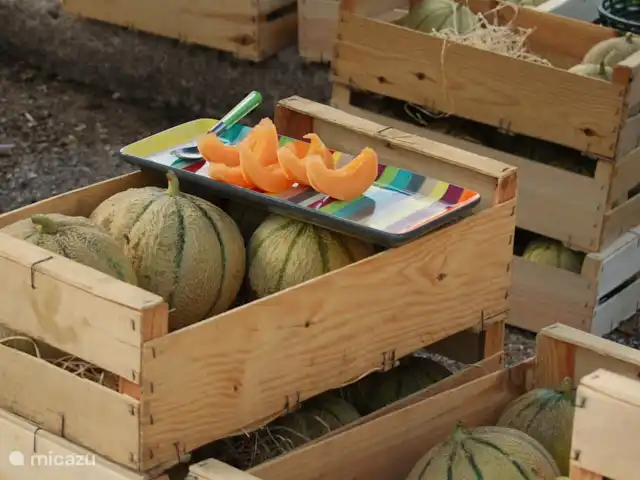 casa vacacional en Francia, Lot, Flaugnac – ¡Bulle, para los amantes del vino! Melón fresco en el mercado