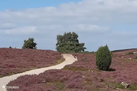 Lemelerberg en Archemerberg