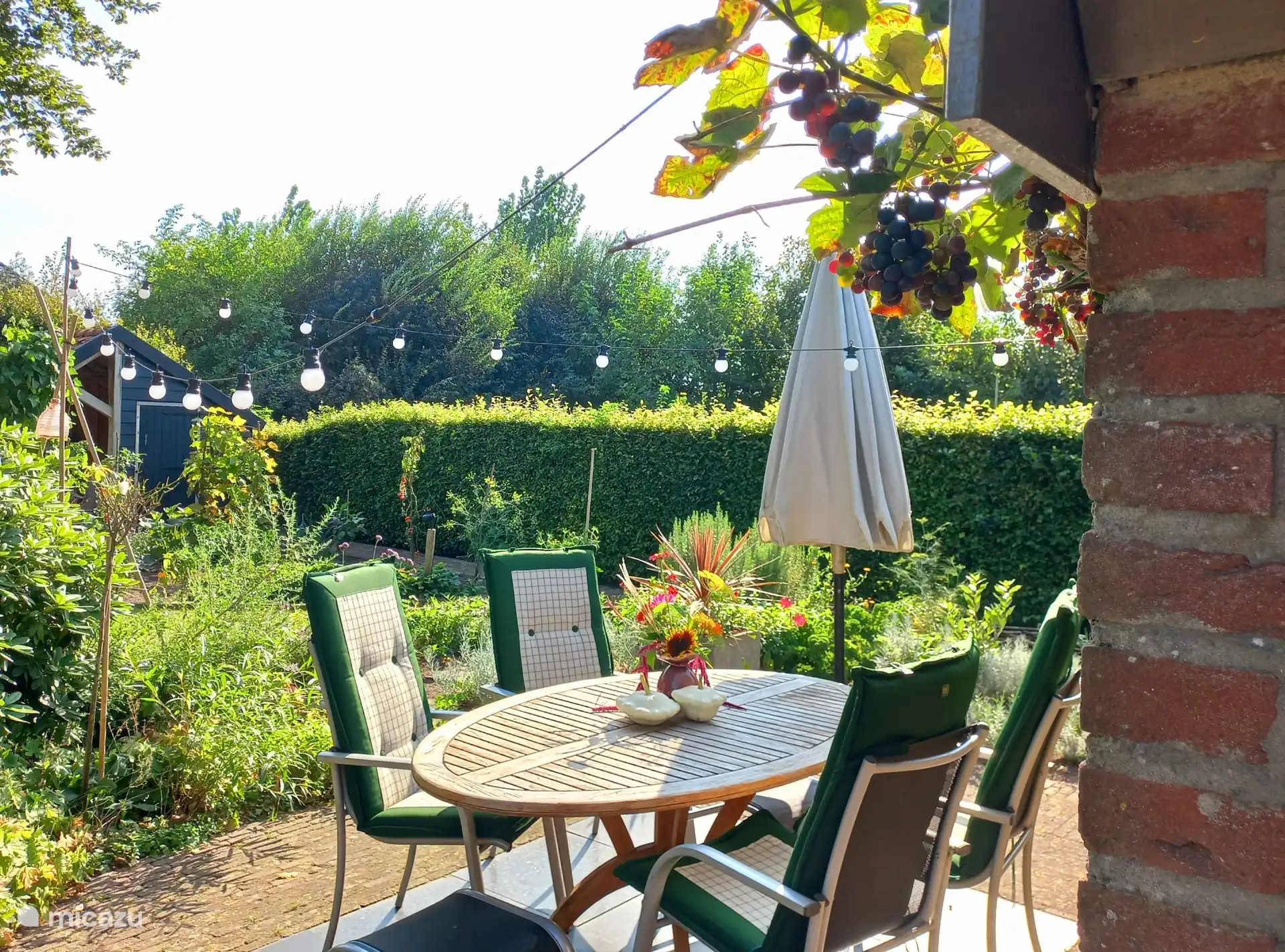 Terras achter het bakhuis