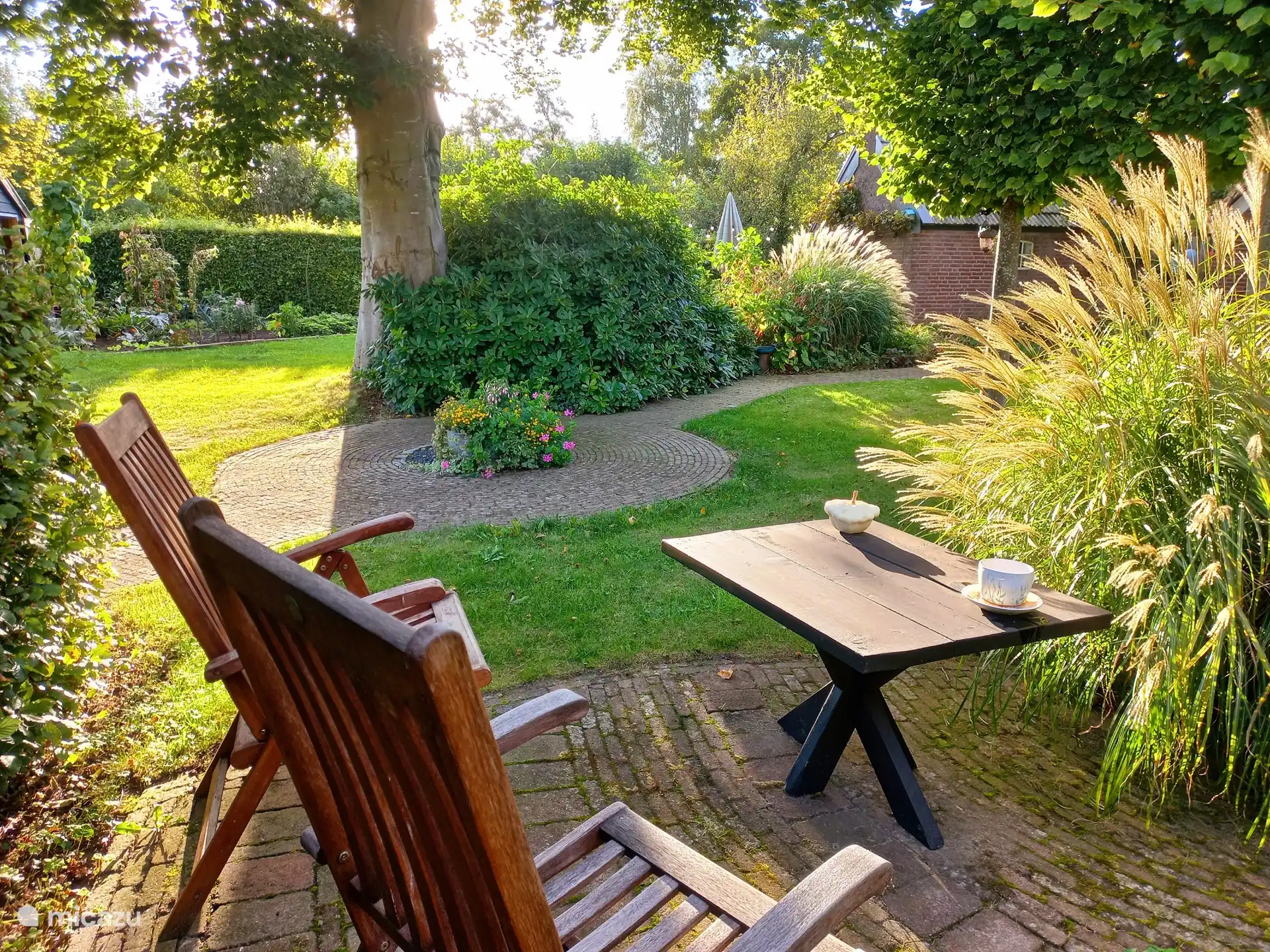 Terras onder de beukenboom, fijn koel plekje in de zomer