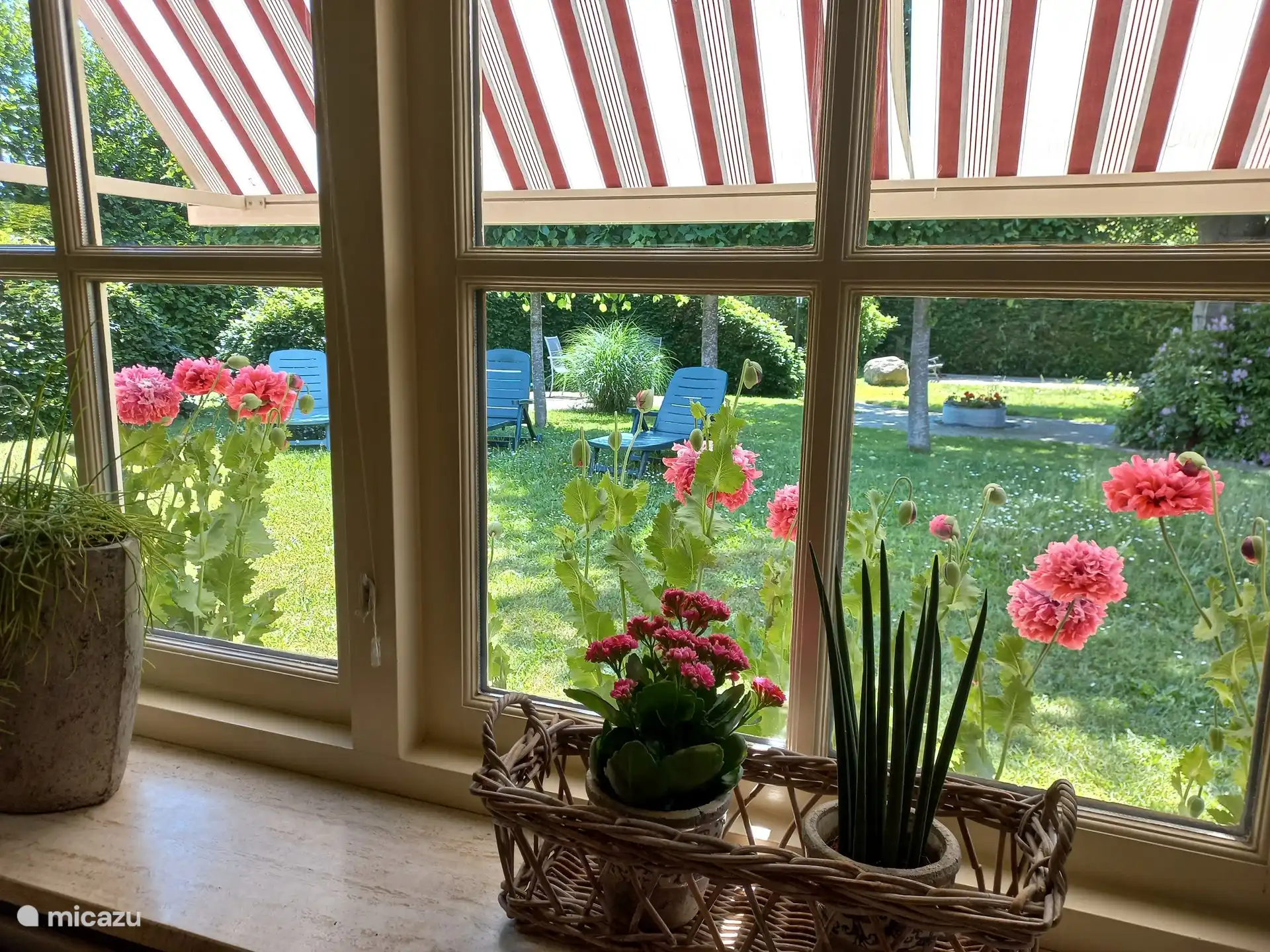 Door het rieten dak en de zonwering blijft het fijn koel in huis.