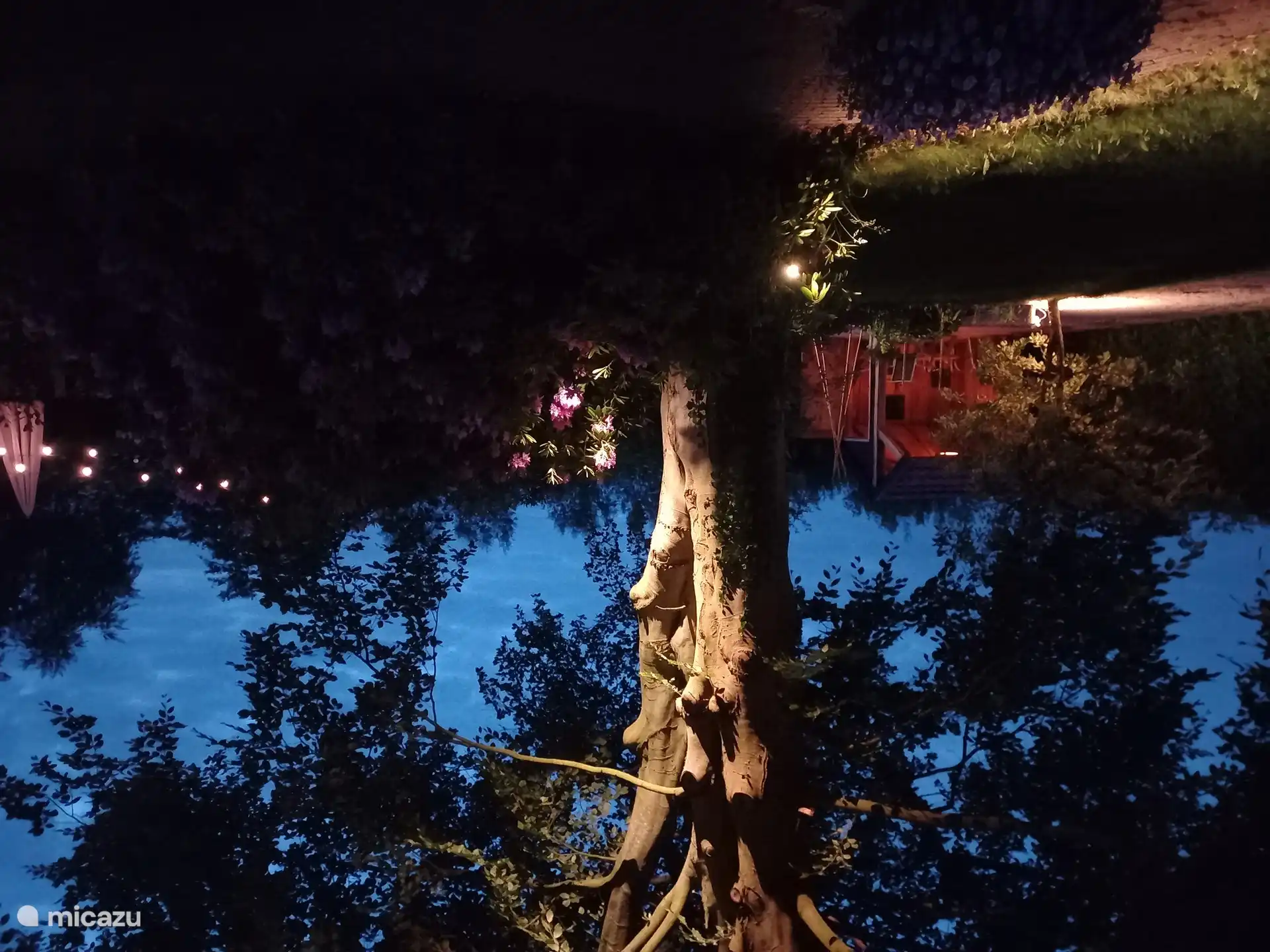 Avondsfeertje, de tuin is op meerdere punten verlicht.
