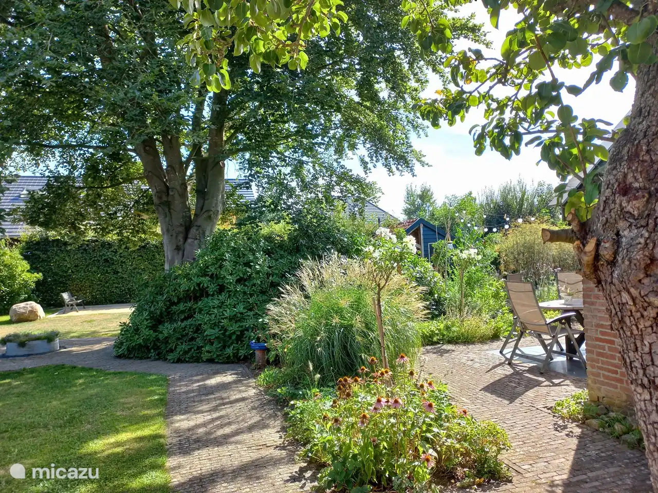 Fijne schaduwplekken onder de beuk en oude perenboom(152 jaar)
