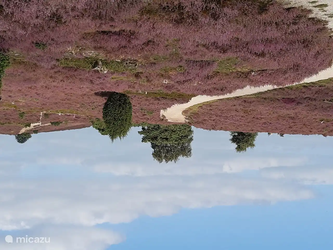 Mooi wandelen op de Lemelerberg en Archemerberg