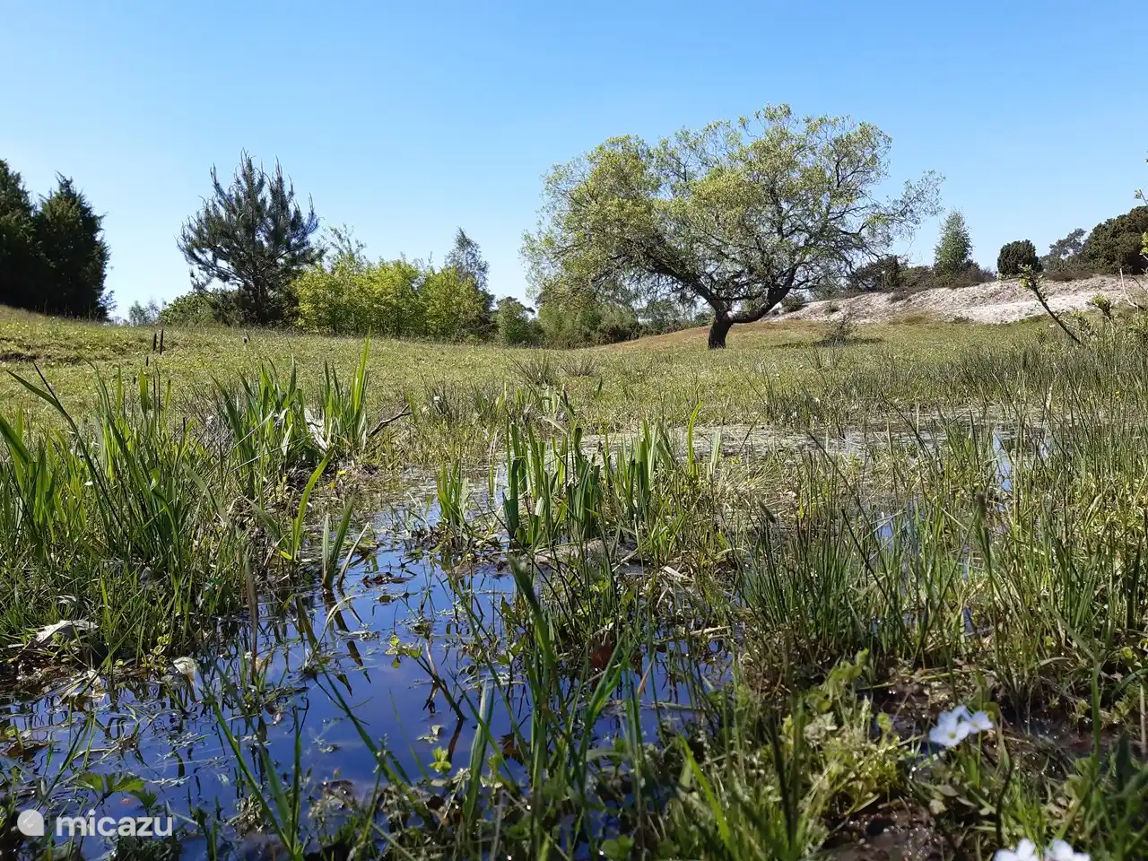 Wandelen in Arriën, oranje route