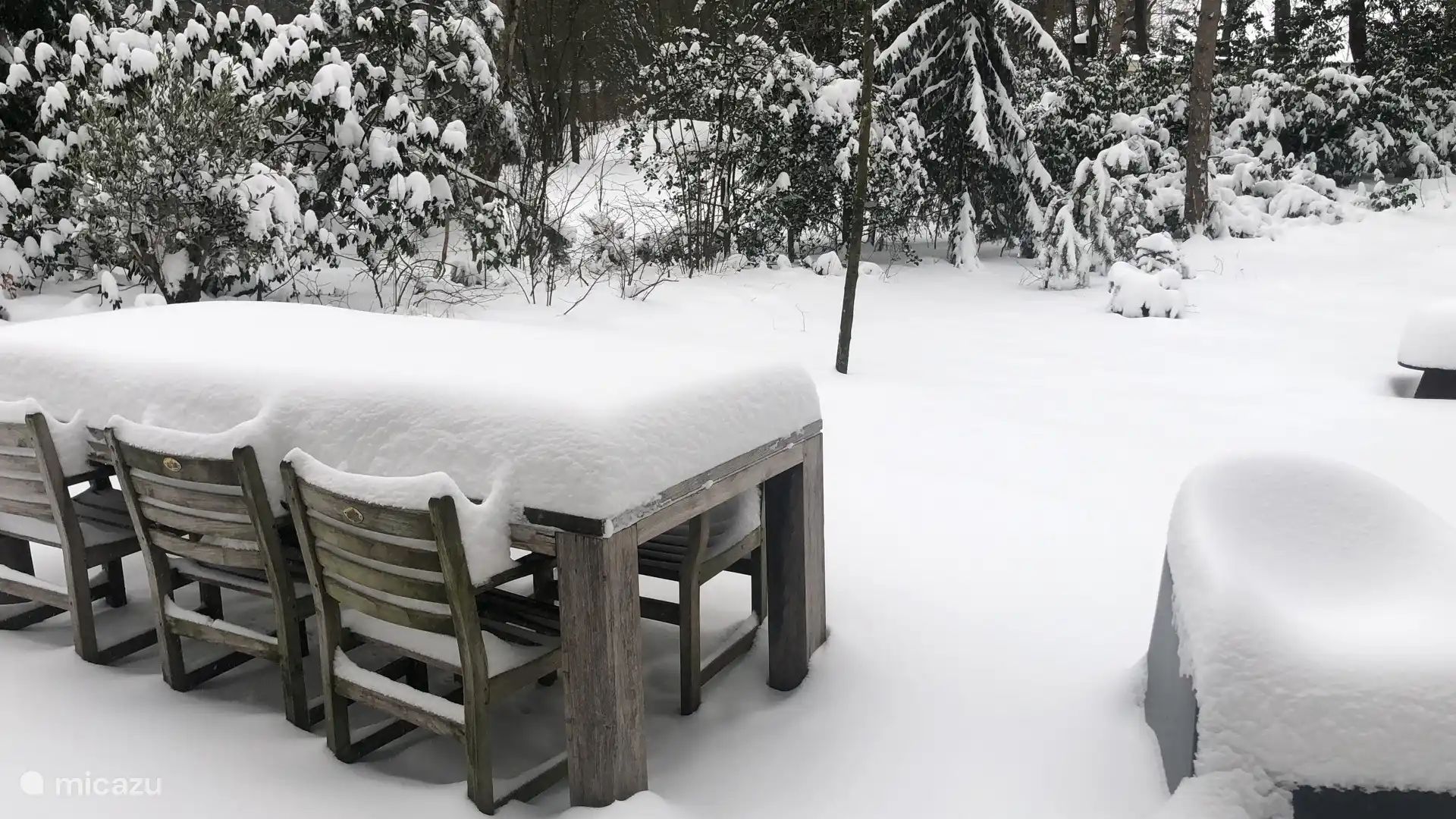 El jardín en invierno 