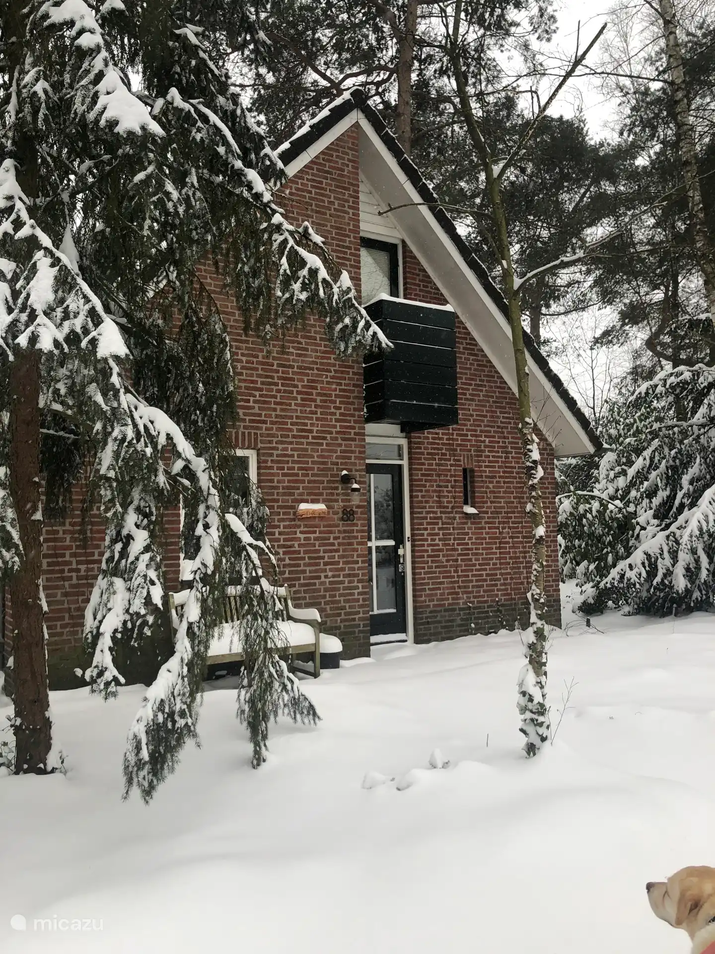 ¡Así puede ser en invierno!