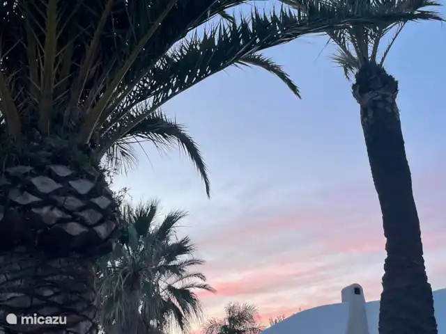 Casa Amarilla | Espagne, Costa Blanca, Benissa - villa Jardin