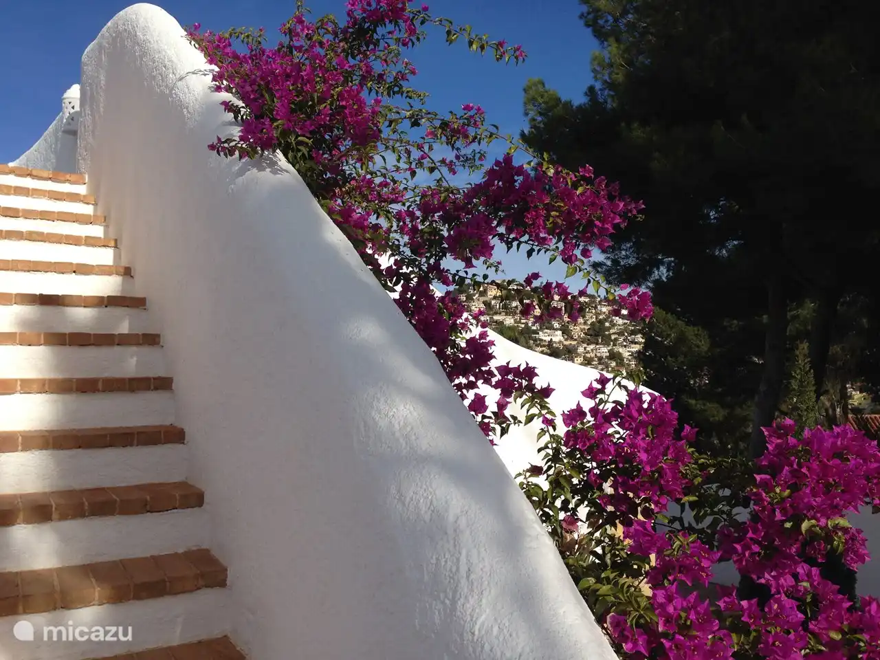Terrasse sur le toit