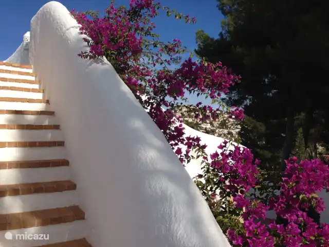 Casa Amarilla | Espagne, Costa Blanca, Benissa - villa Terrasse sur le toit