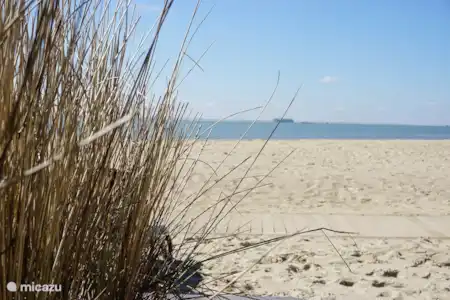 Vakantiehuis Nederland, Zeeland, Vlissingen appartement 4-persoons Beachroom