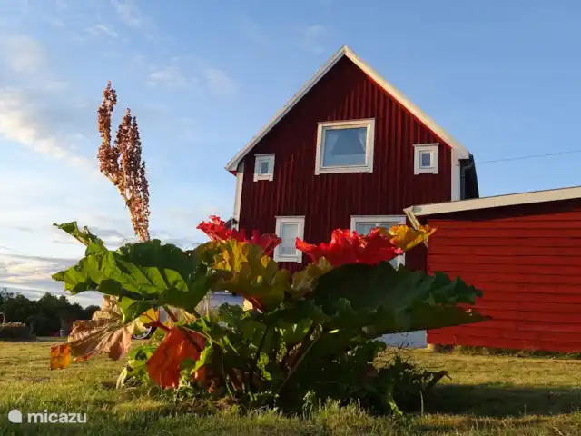 Stallhuset | Suède, Värmland, Storfors - maison de vacances du jardin