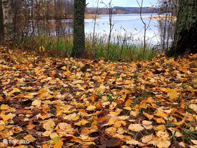 Stallhuset | Suède, Värmland, Storfors - maison de vacances en automne