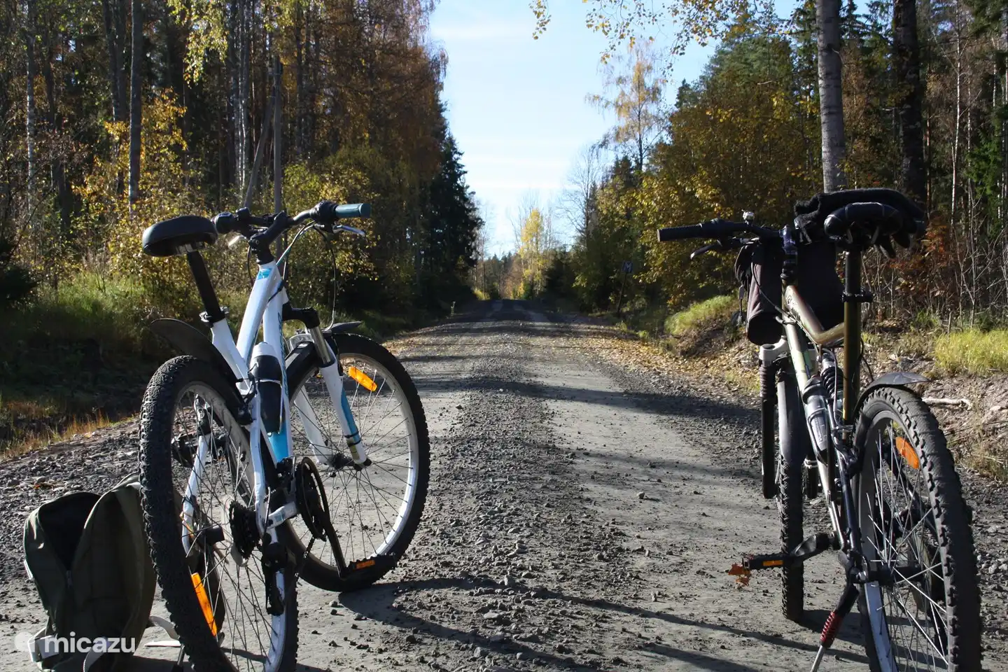 by bike into nature!