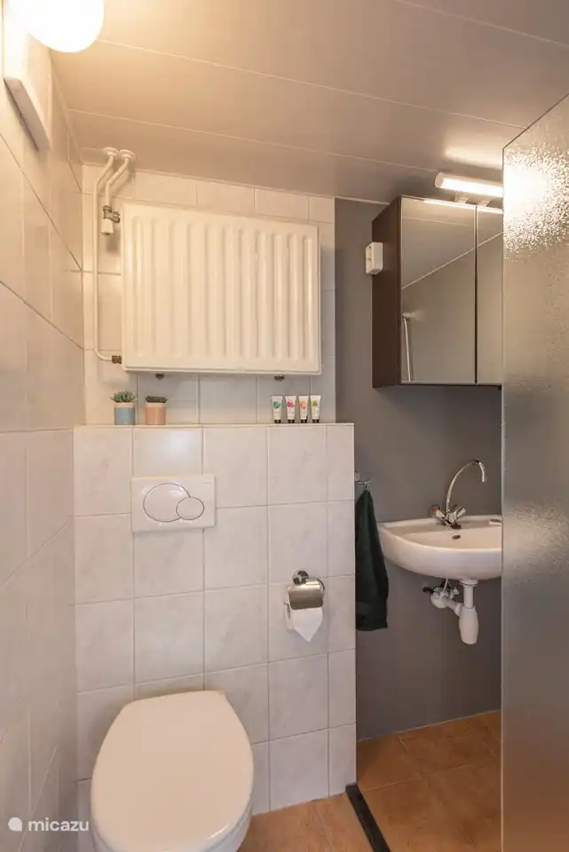 Das Badezimmer mit Toilette, Waschbecken und ebenerdiger Dusche