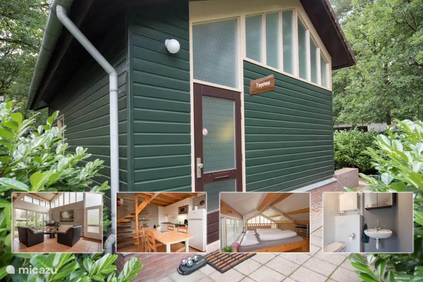 Kombinationsfoto der Blaumeise