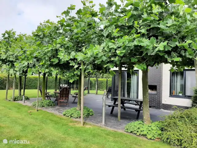 Bargereed 27 huren in Nederland, Friesland, Tzummarum - vakantiehuis Bargereed 27 huren in Nederland, Friesland, Tzummarum - vakantiehuis