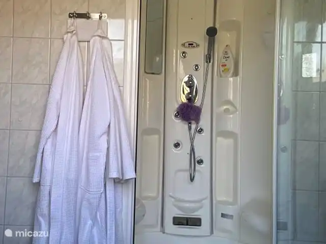 Bargereed 27 huren in Nederland, Friesland, Tzummarum - vakantiehuis Luxe stoomcabine in badkamer, tevens te gebruiken als douche