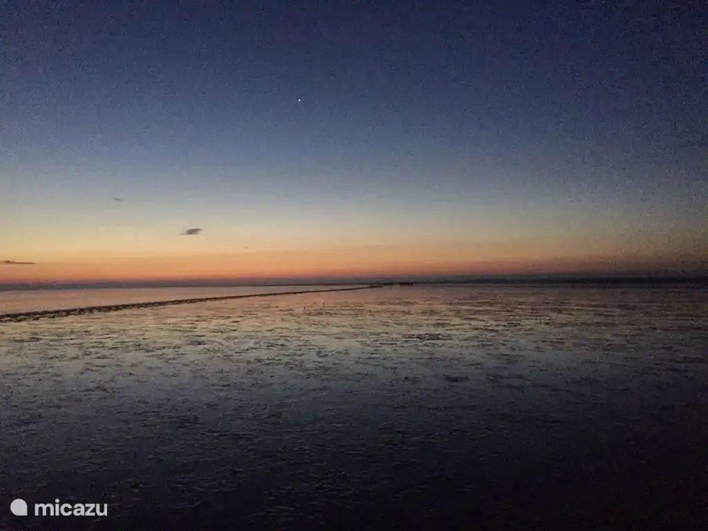 Von Holwerd aus können Sie im Wattenmeer nach Ameland laufen