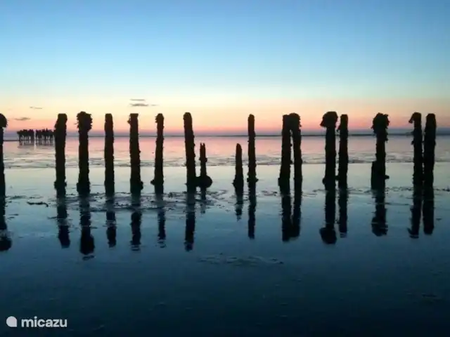 Bargereed 27 huren in Nederland, Friesland, Tzummarum - vakantiehuis De Waddenzee