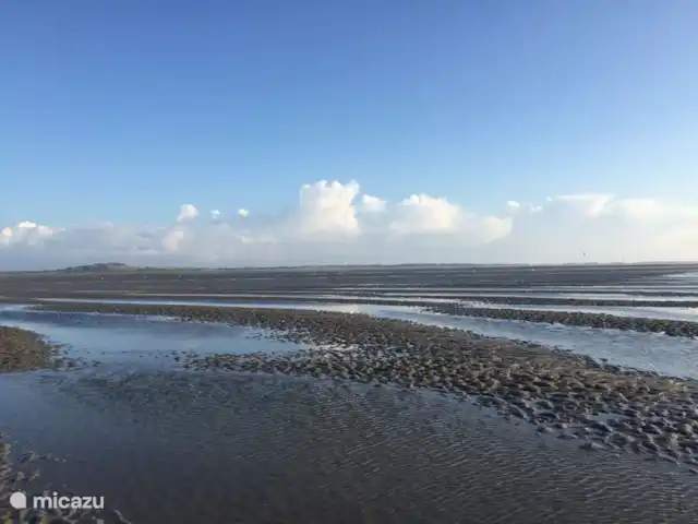 Bargereed 27 huren in Nederland, Friesland, Tzummarum - vakantiehuis De Waddenzee
