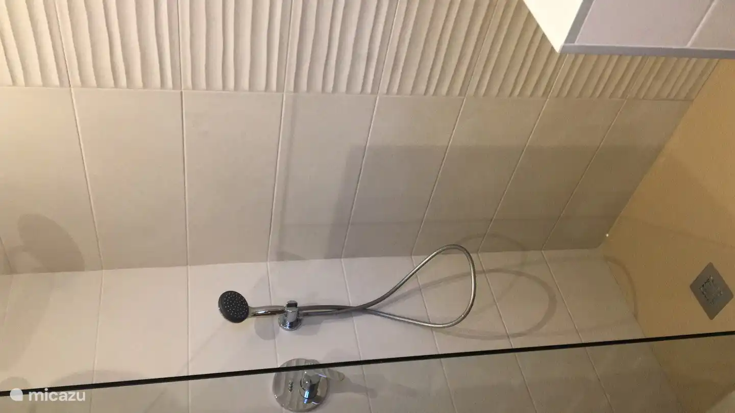 Große ebenerdige Dusche