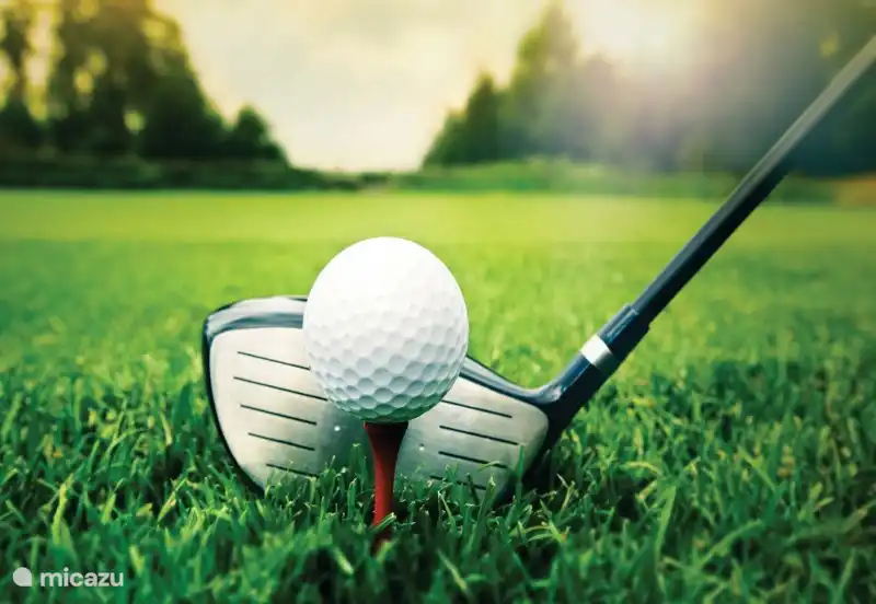 Vagues à proximité immédiate : Julianadorp Ooghduyne ou sur Texel de Texelse