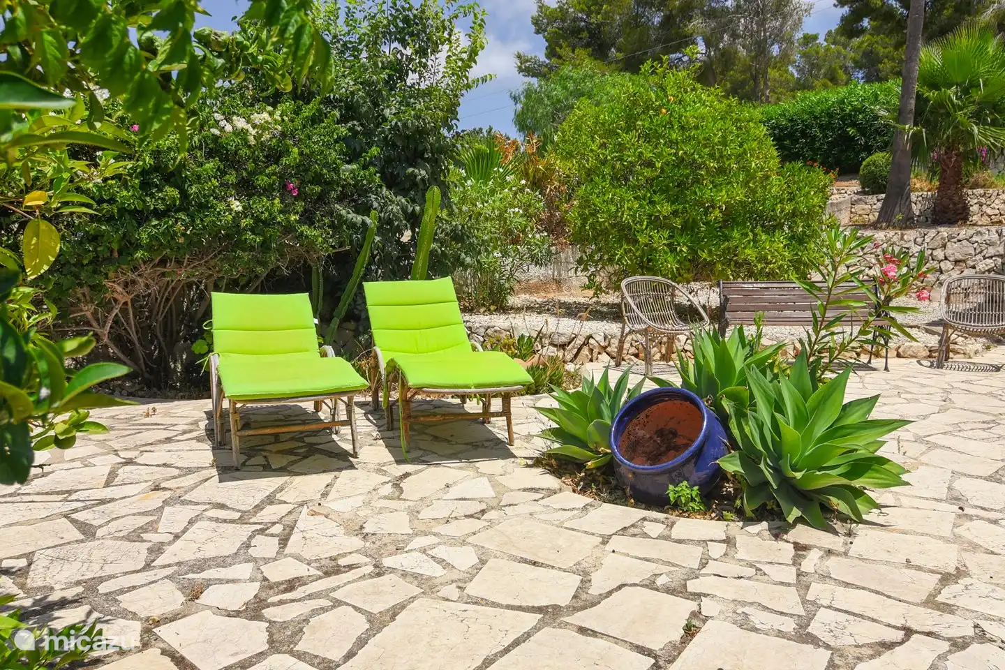 Der Garten im Erdgeschoss mit Zitrusbäumen.