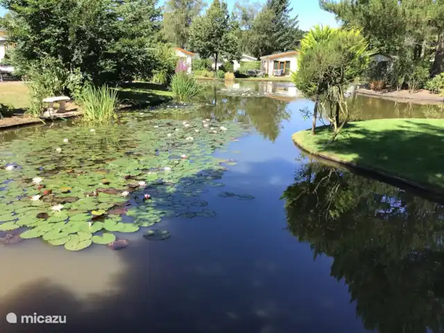 Casa Lara | Pays-Bas, Gueldre, Kootwijk - chalet Casa Lara | Pays-Bas, Gueldre, Kootwijk - chalet