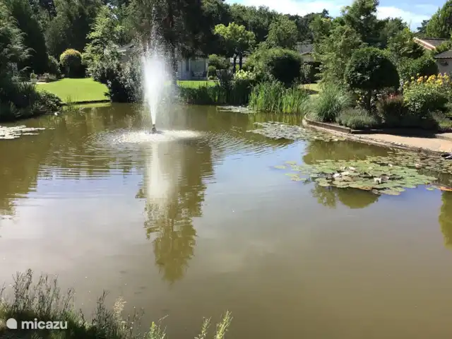 Casa Lara | Pays-Bas, Gueldre, Kootwijk - chalet Étang avec fontaine éclaboussante, donne une sensation de détente lorsque vous vous asseyez dans le jardin