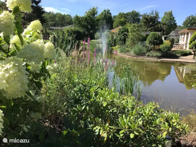 Casa Lara | Pays-Bas, Gueldre, Kootwijk - chalet Du jardin à nouveau, une belle vue sur l’étang