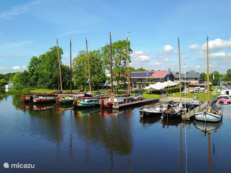 Holiday home in Netherlands, Friesland, Eernewoude Villa Holiday villa on a Frisian lake