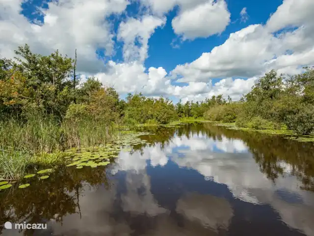 Villa de vacances spacieuse sur le lac frison | Pays-Bas, Frise, Eernewoude - villa