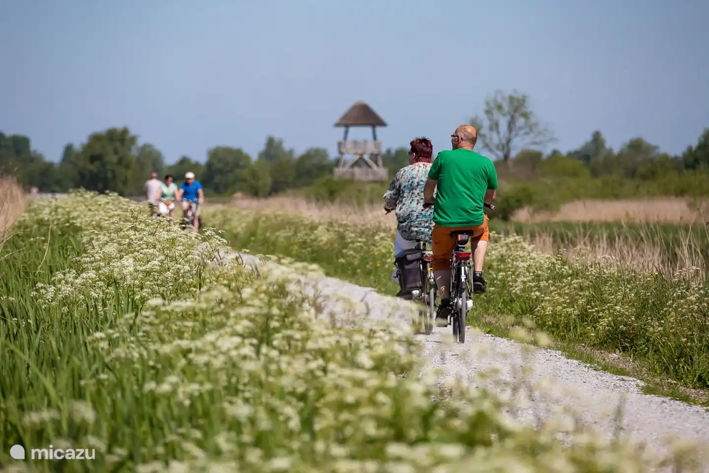 Cycle path through National Park De Alde Feanen with a watchtower in the background for a beautiful view of the nature reserve.