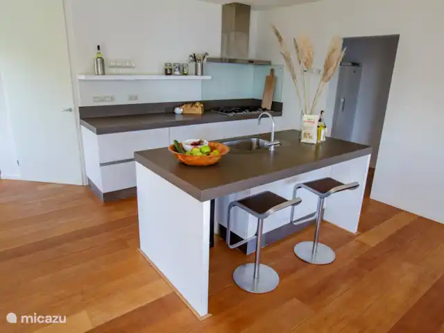 Villa de vacances spacieuse sur le lac frison | Pays-Bas, Frise, Eernewoude - villa Cuisine moderne avec toutes les commodités et îlot de cuisson.