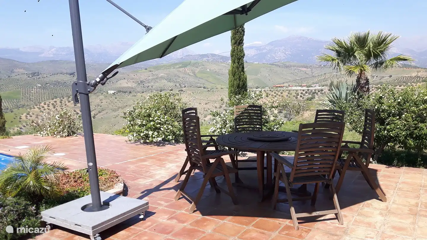 Lezen aan het zwembad