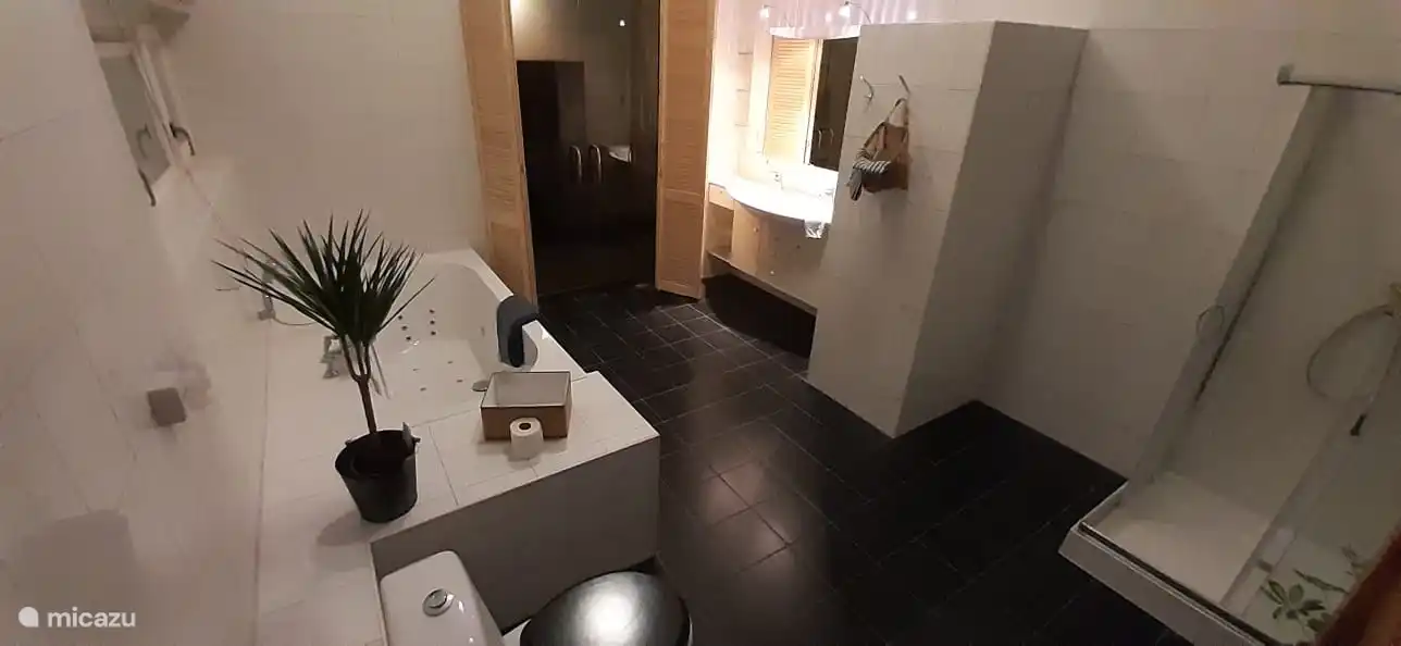 Sehr geräumiges Luxusbadezimmer mit Whirlpool im Erdgeschoss