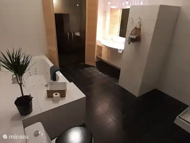 Carpe diem avec bar billard sauna | Pays-Bas, Gueldre, Lochem - bungalow salle de bain de luxe très spacieuse avec jacuzzi au rez-de-chaussée