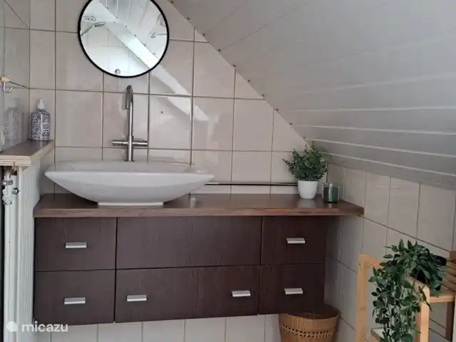 Carpe diem avec bar billard sauna | Pays-Bas, Gueldre, Lochem - bungalow Salle de bain au 1er étage.