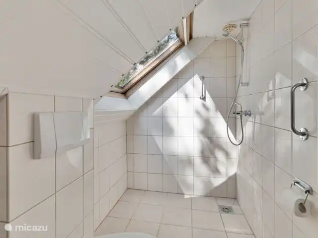 Carpe diem avec bar billard sauna | Pays-Bas, Gueldre, Lochem - bungalow Salle de bain au 1er étage. C’est clairement un peu plus petit, mais avec lavabo, douche et toilettes