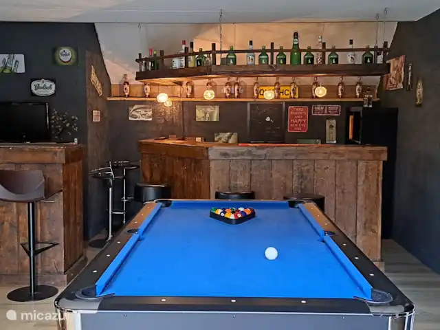 Carpe diem avec bar billard sauna | Pays-Bas, Gueldre, Lochem - bungalow Salle de loisirs avec bar