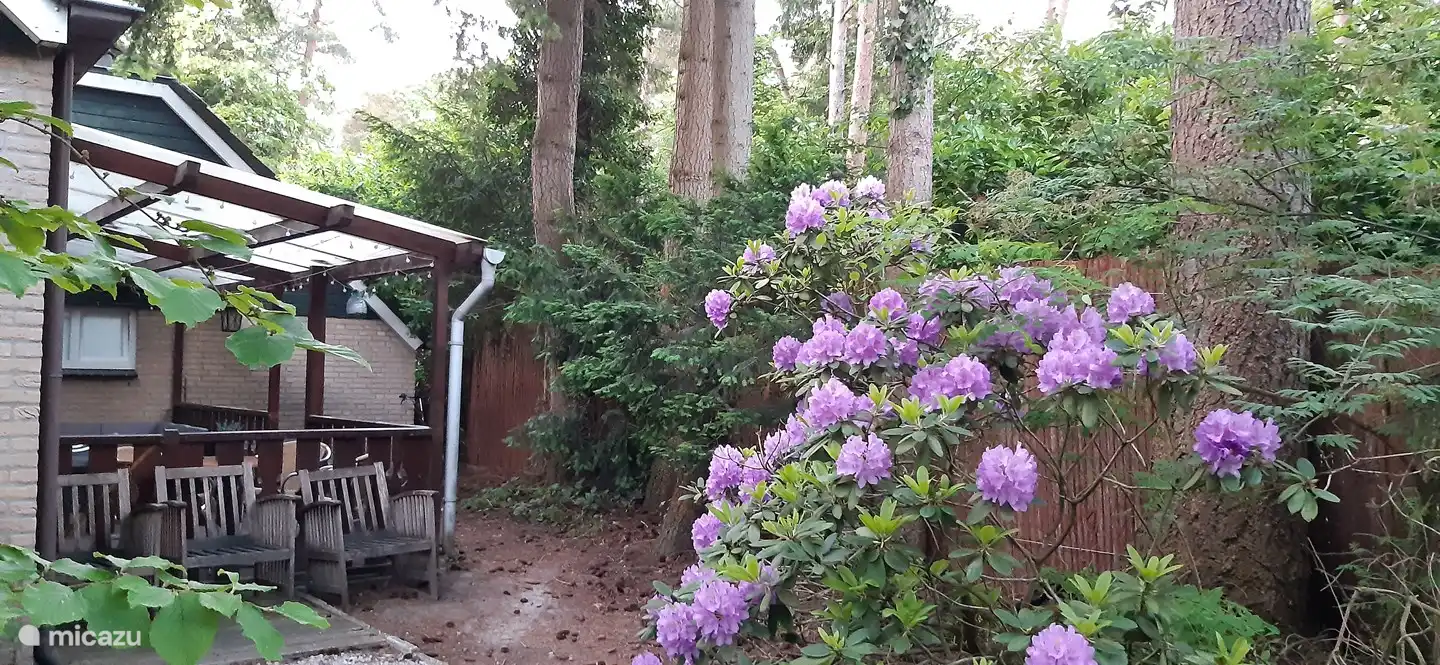 Veranda hinter dem Haus