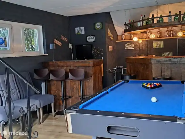 Carpe diem avec bar billard sauna | Pays-Bas, Gueldre, Lochem - bungalow salle de loisirs avec bar, billard, jeu de fléchettes, Wii et télévision au mur