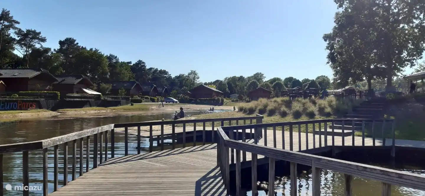 2. Foto Schwimmteich