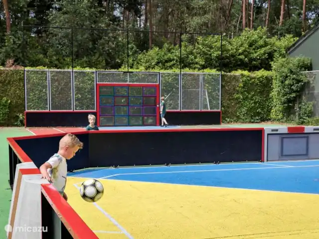 Carpe diem avec bar billard sauna | Pays-Bas, Gueldre, Lochem - bungalow terrain de foot à distance de marche