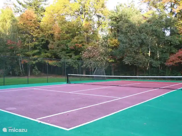 Carpe diem avec bar billard sauna | Pays-Bas, Gueldre, Lochem - bungalow Courts de tennis à louer (à la réception de l’hôtel)