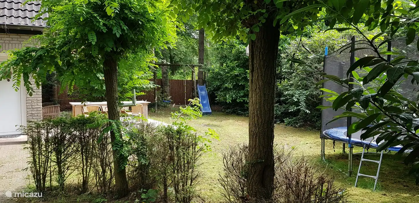 viel Grün im Garten