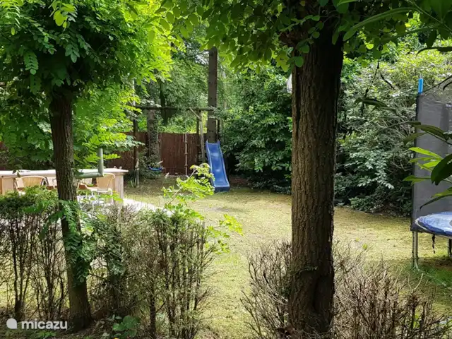 Carpe diem avec bar billard sauna | Pays-Bas, Gueldre, Lochem - bungalow beaucoup de verdure dans le jardin